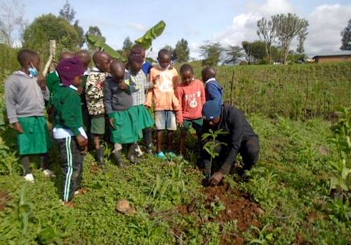 Joseph planting new trees with the children