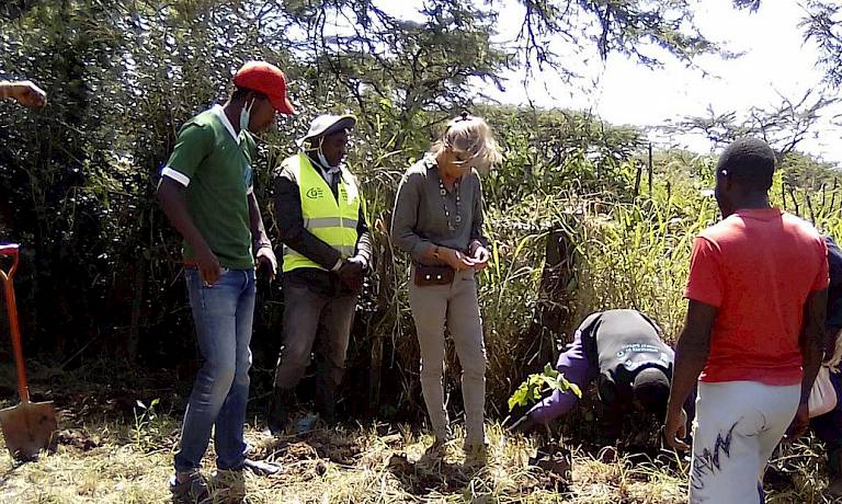 Volunteers working planting trees
